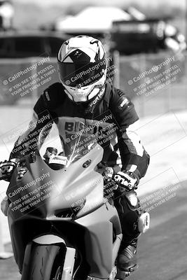 media/Feb-23-2025-2WTD (Sun) [[9604a77d5d]]/1-Around the Pits/